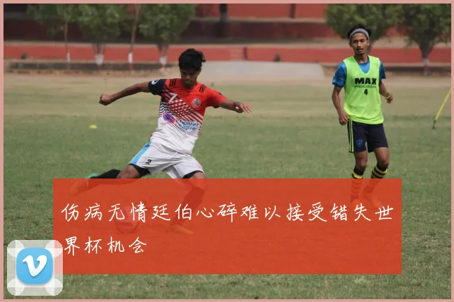 伤病无情廷伯心碎难以接受错失世界杯机会